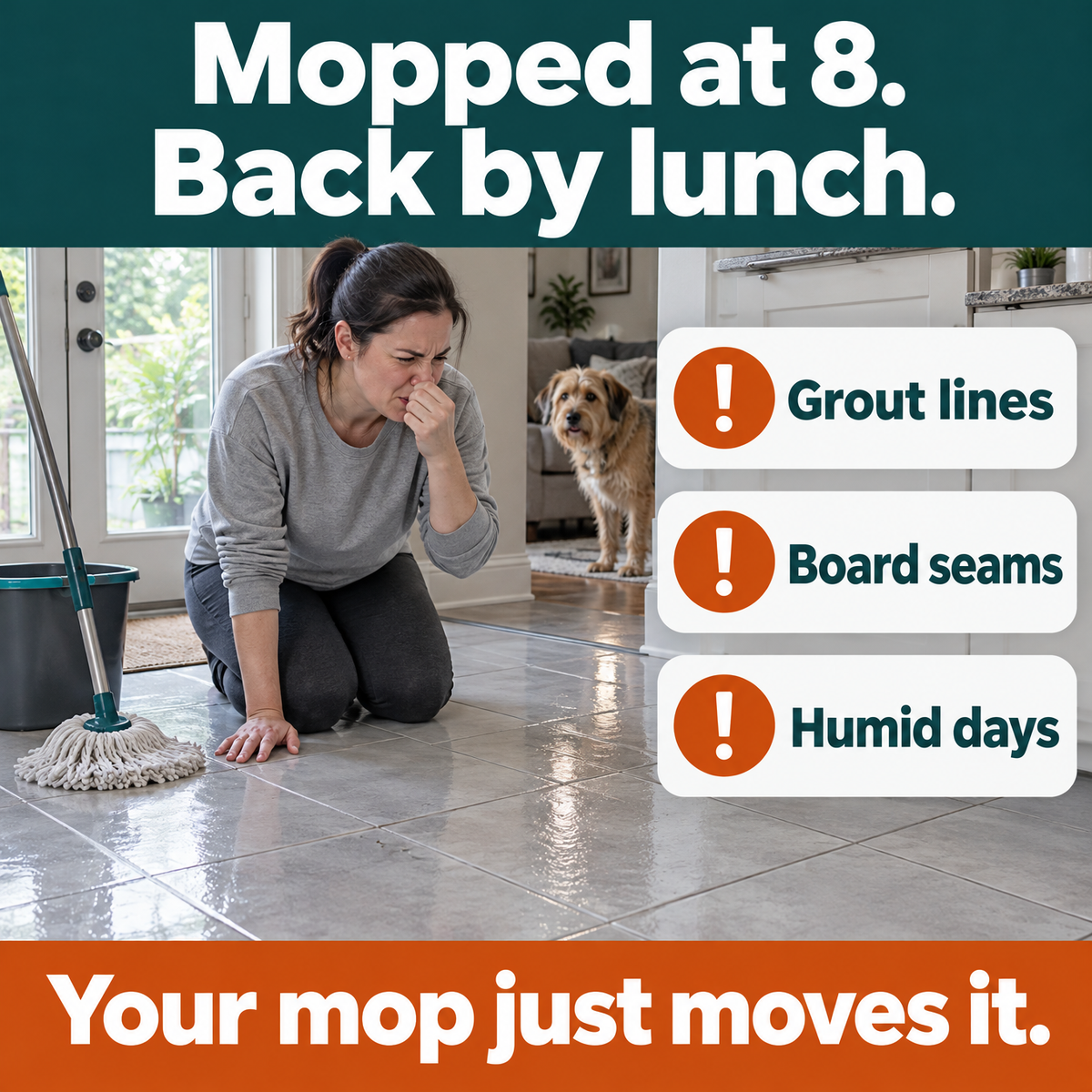 Mopped at 8, back by lunch: urine hides in grout lines, board seams and comes back on humid days. Your mop just moves it.