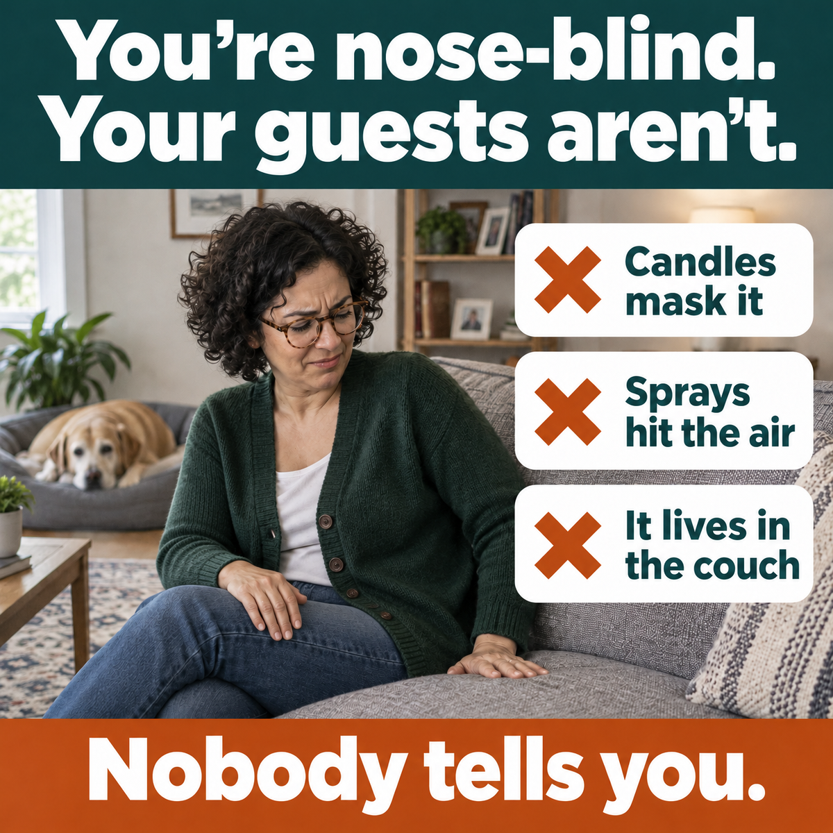 You are nose-blind, your guests are not: candles mask it, sprays hit the air, the smell lives in the couch.